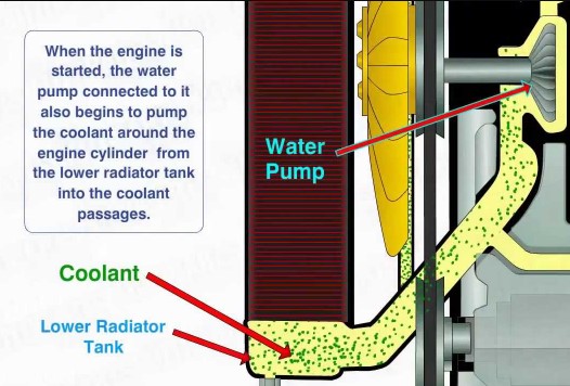 How Does Coolant Work