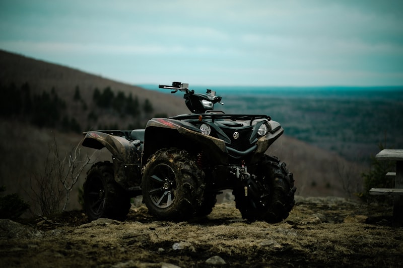 Yamaha Grizzly Years To Avoid