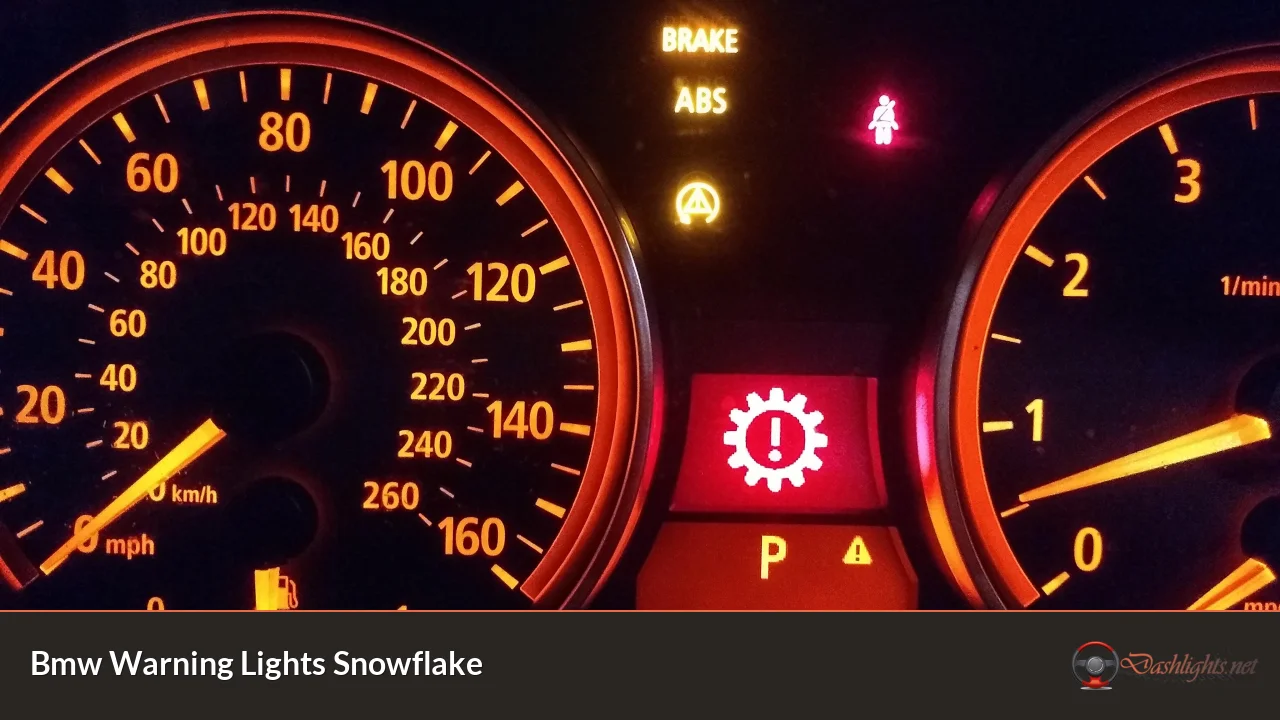 Bmw Warning Lights Snowflake