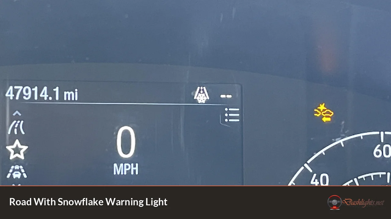 Road With Snowflake Warning Light