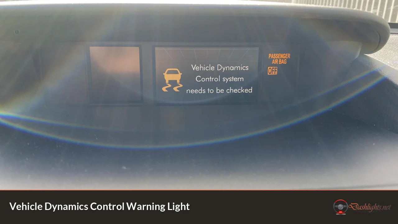 Vehicle Dynamics Control Warning Light